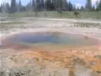 F- West Thumb Geyser Basin (2).jpg (82kb)